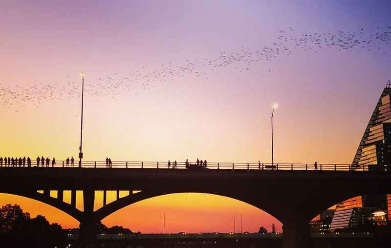 Congress Avenue Bridge