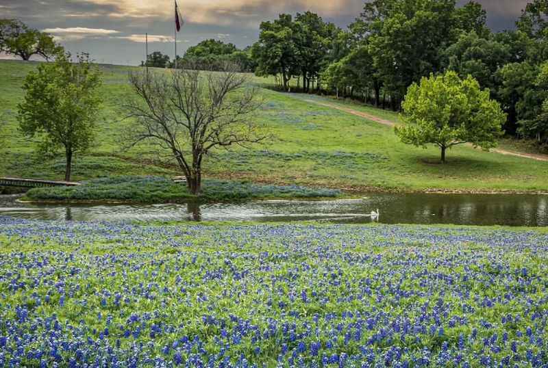 Texas Hill Country