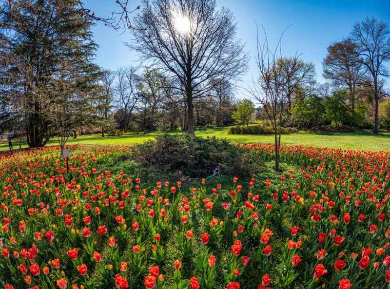 Sherwood Gardens