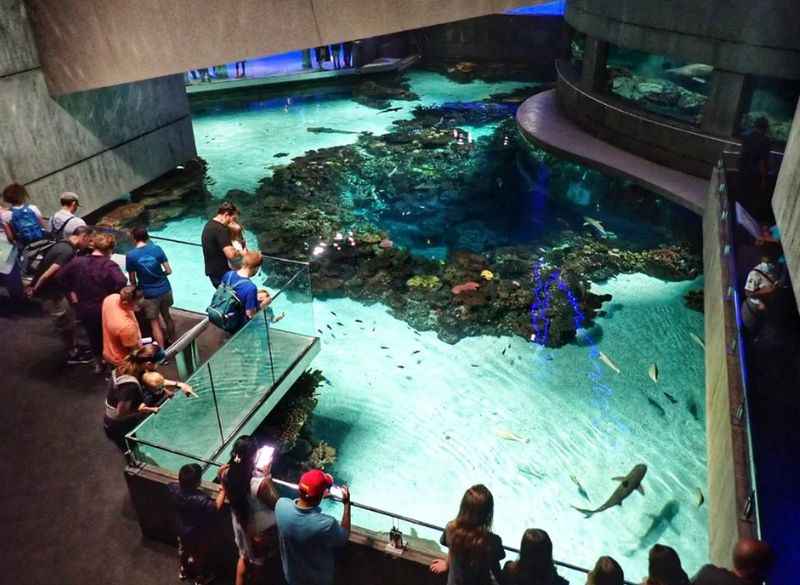 National Aquarium