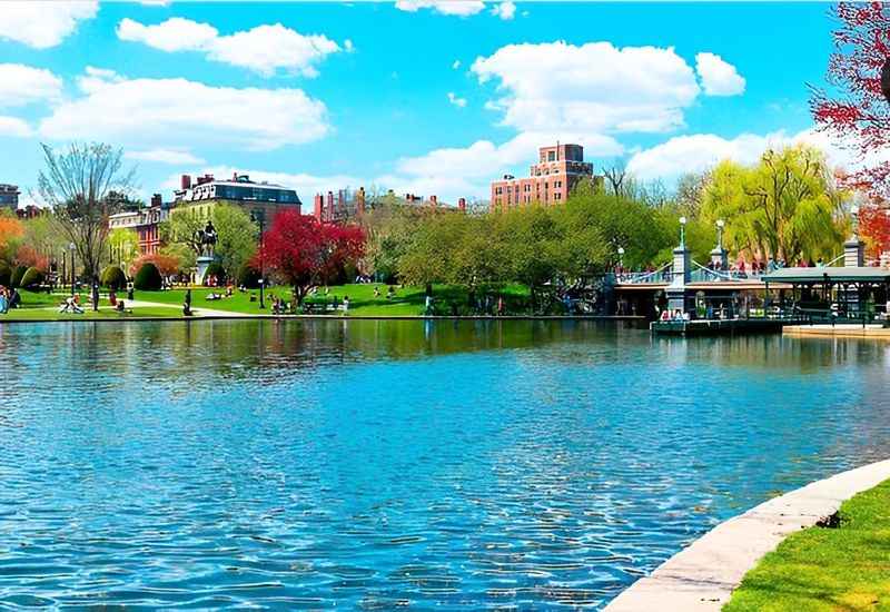 Swan Boats in the Boston Public Garden