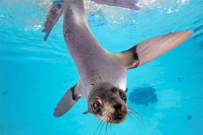 New England Aquarium