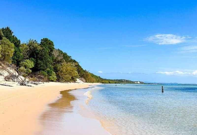 Take a Trip to Moreton Island