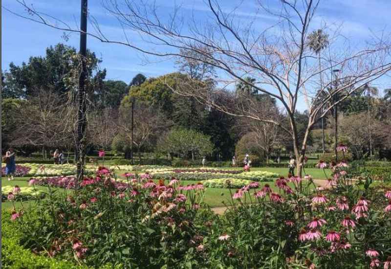 Admire the City Botanic Gardens