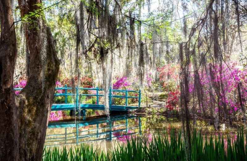 Magnolia Plantation and Gardens