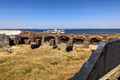 Fort Sumter National Monument