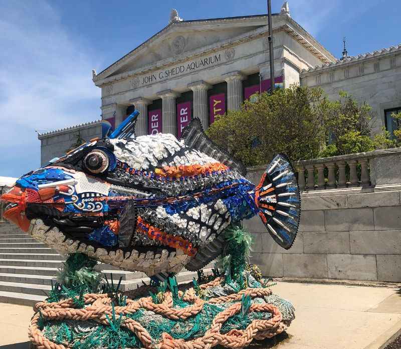 Shedd Aquarium