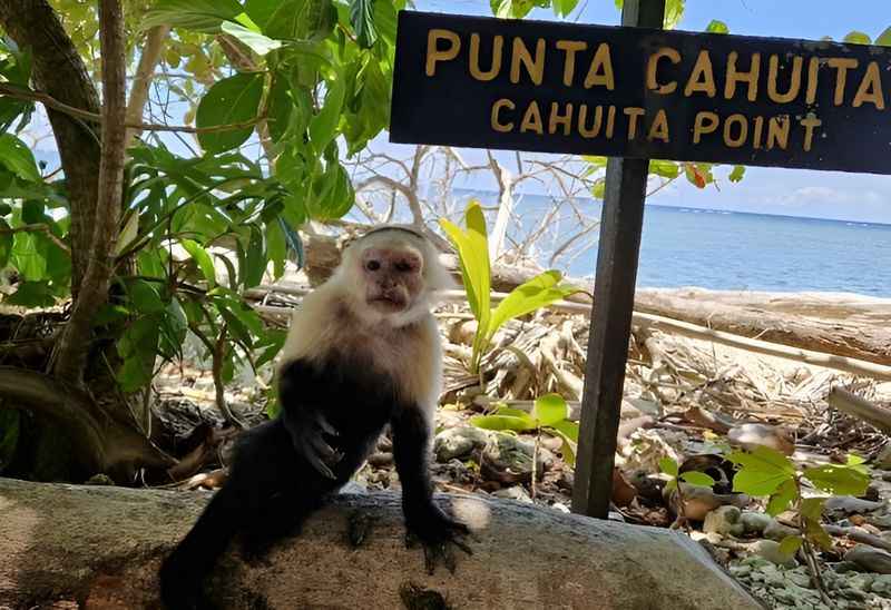 Cahuita National Park