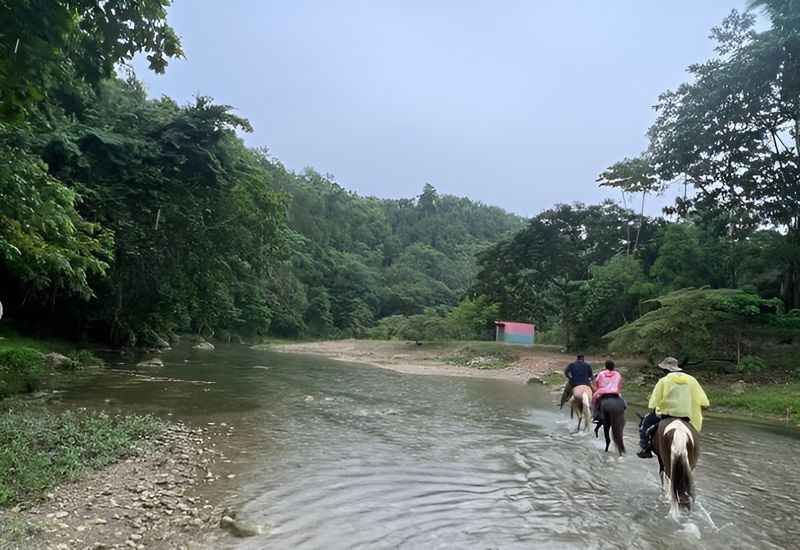 Horseback Riding