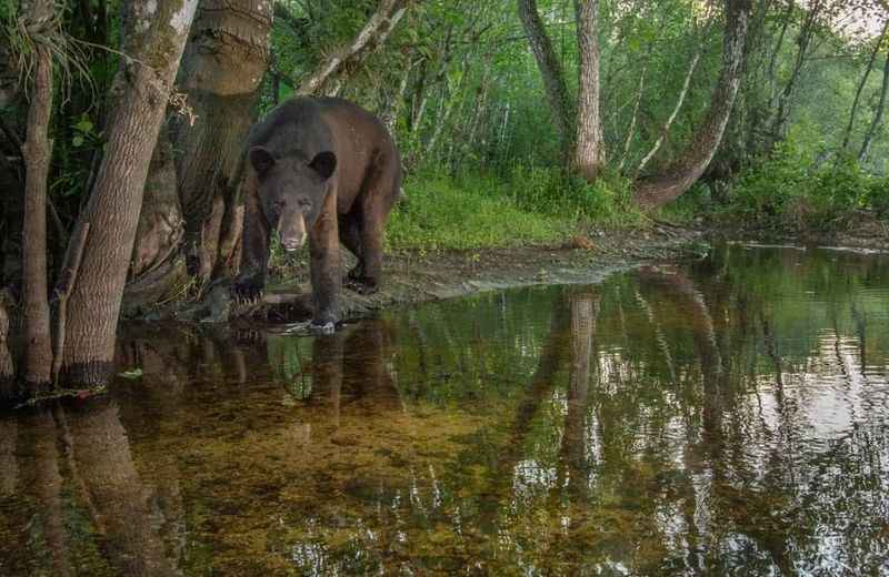 Everglades National Park