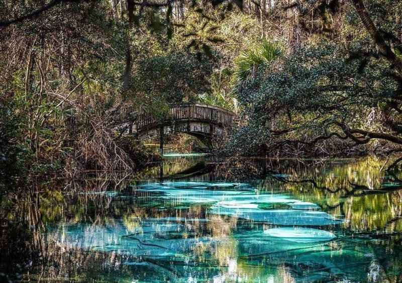 Ocala National Forest