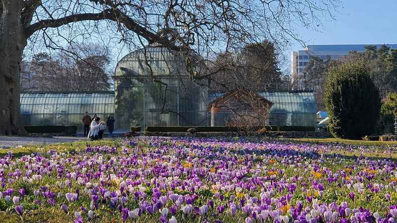 Conservatory and Botanical Garden