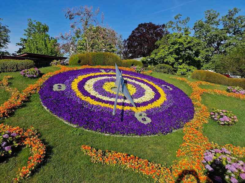 Flower Clock