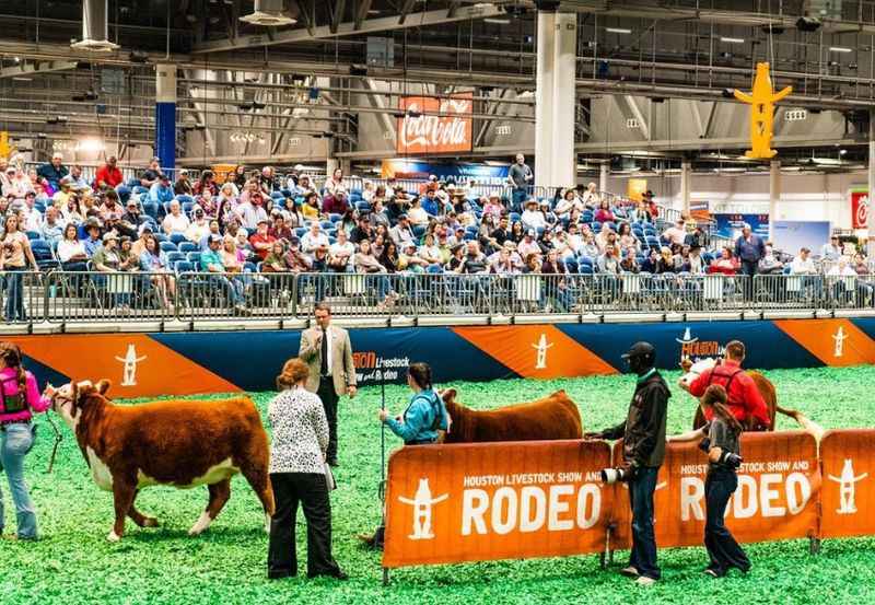 Houston Livestock Show