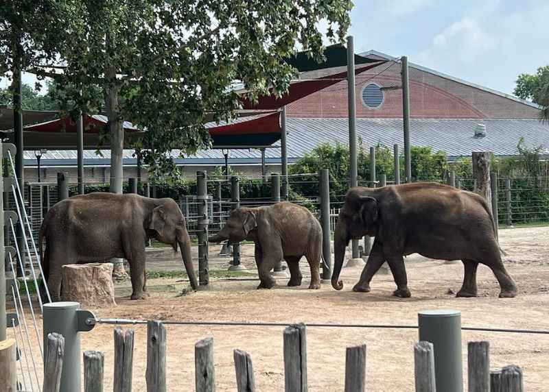 Houston Zoo