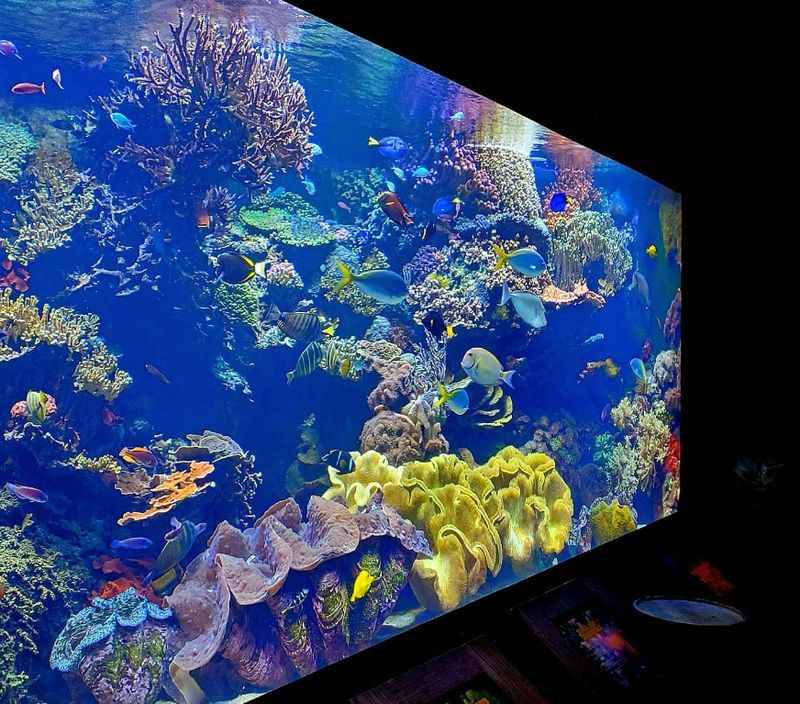 Downtown Aquarium in Houston