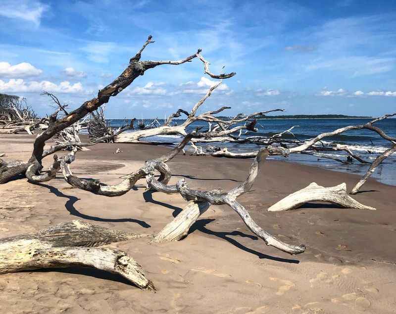 Talbot Islands and Boneyard Beach