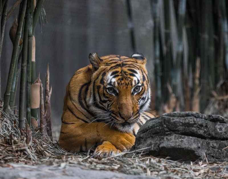 Jacksonville Zoo & Gardens