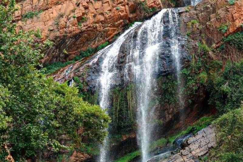 Walter Sisulu National Botanical Gardens