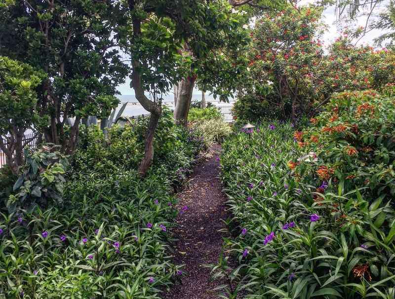 a path through the garden