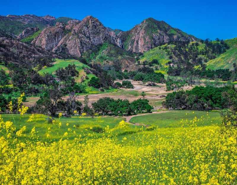 Malibu Creek State Park at Santa Monica Mountains