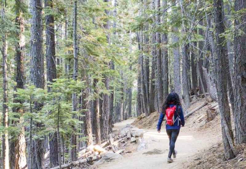 Rubicon Trail