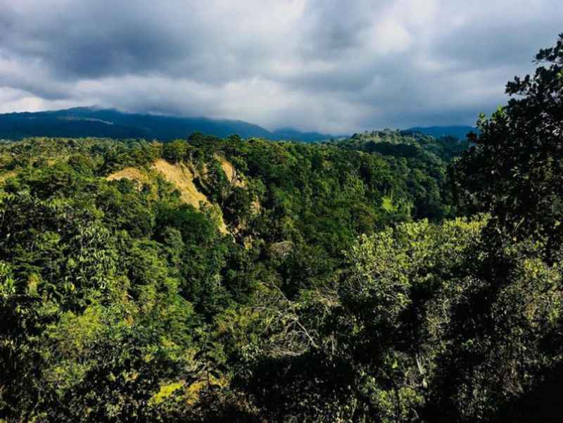 Discover Jungle Hikes in Northern Lombok