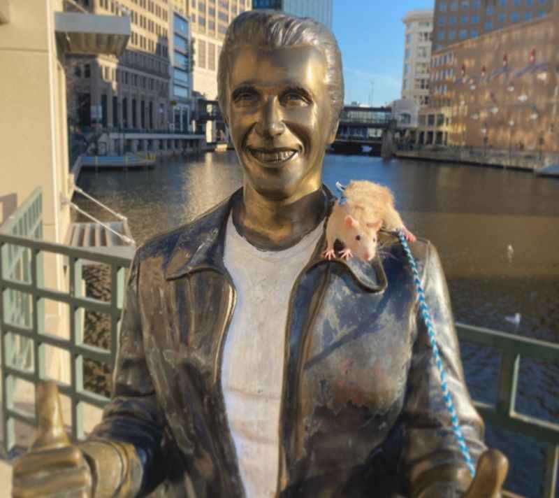 Bronze Fonz by Gerald P. Sawyer