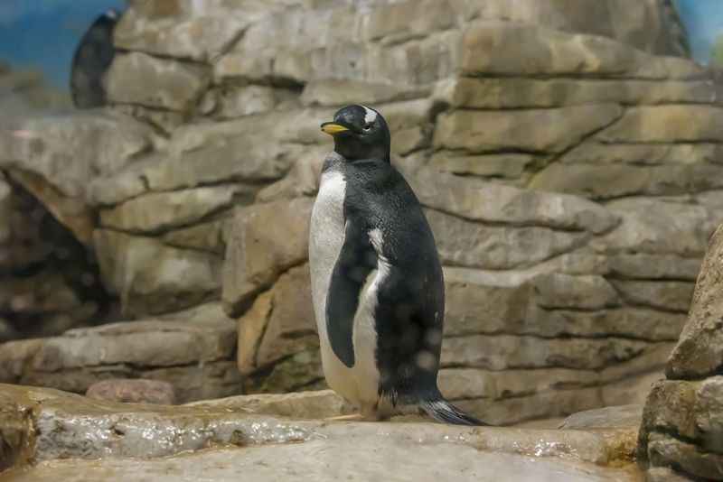 Milwaukee County Zoo