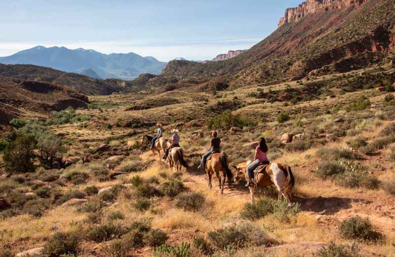 Horseback Riding Tour