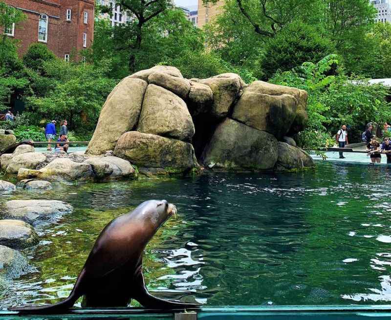 Central Park Zoo