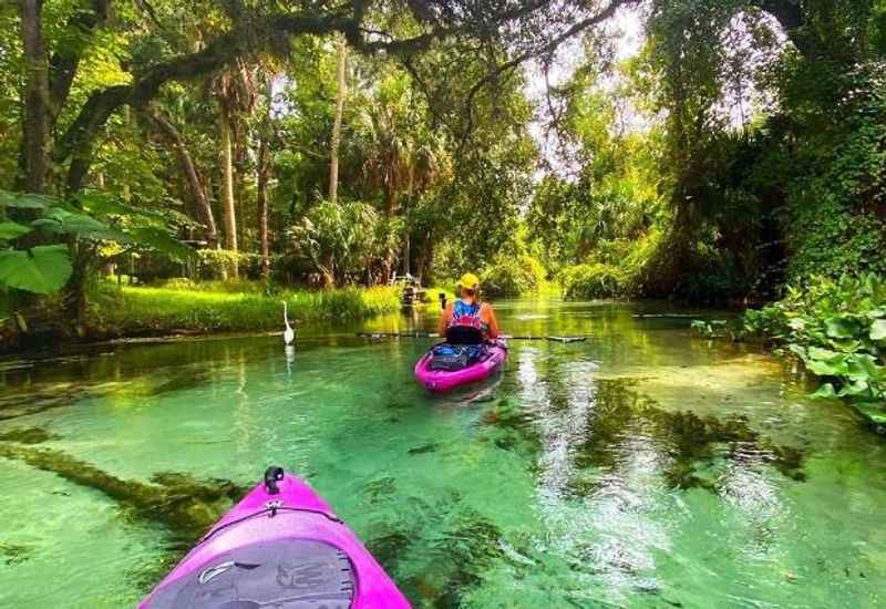 Kayaking and Canoeing at Kelly Park