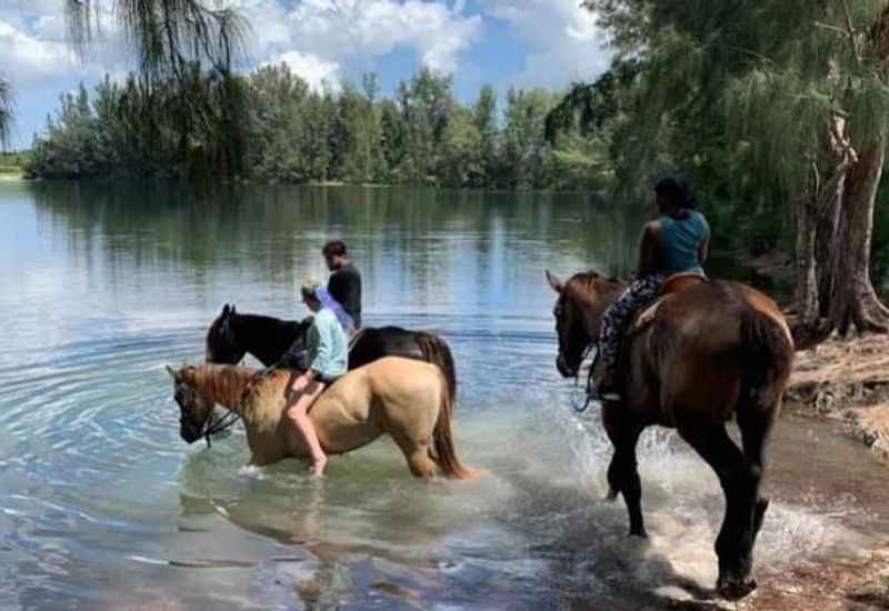 Horse Riding at Lake Louisa