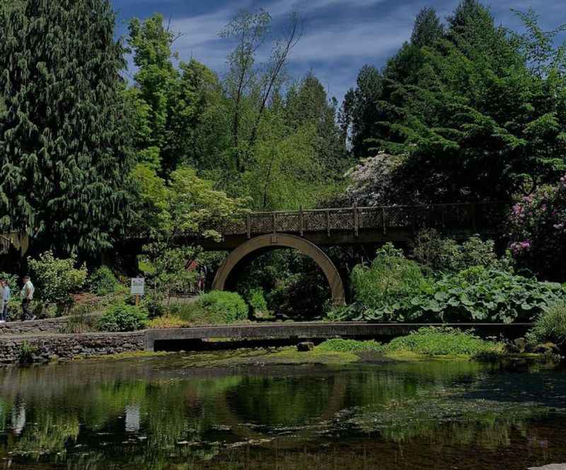 Crystal Springs Rhododendron Garden