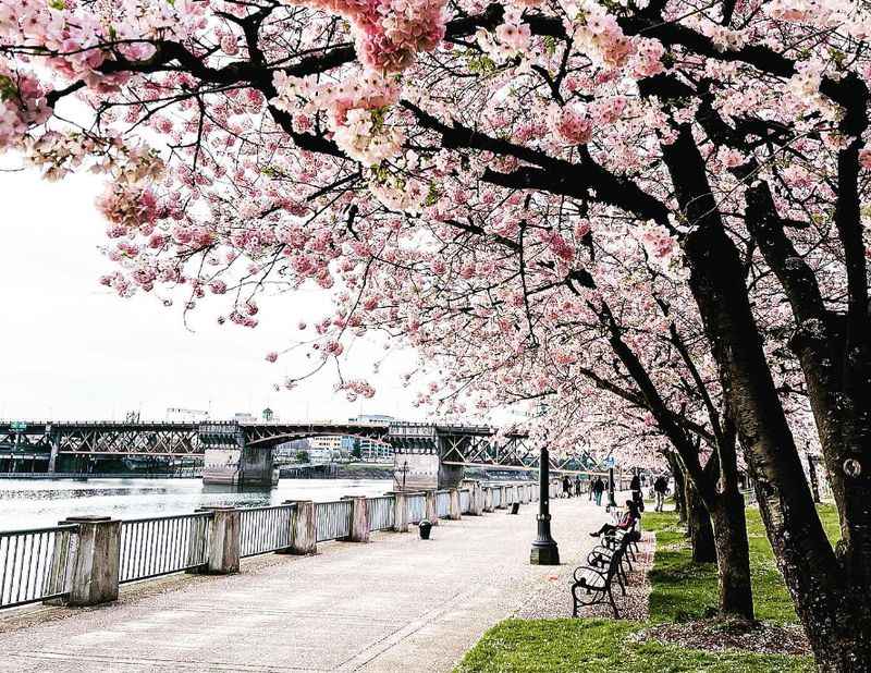 Waterfront Park