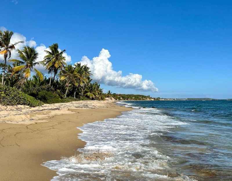 Vieques Island in Puerto Rico