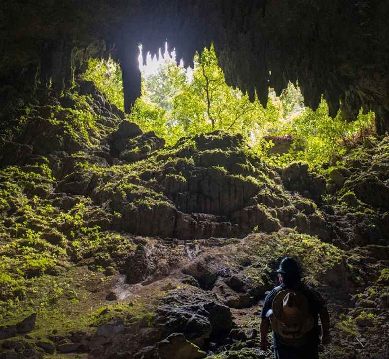 Rio Camuy River Cave Park