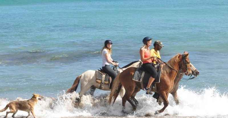 two people riding horses through the water