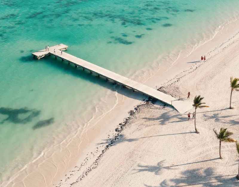 a pier on the beach with palm trees