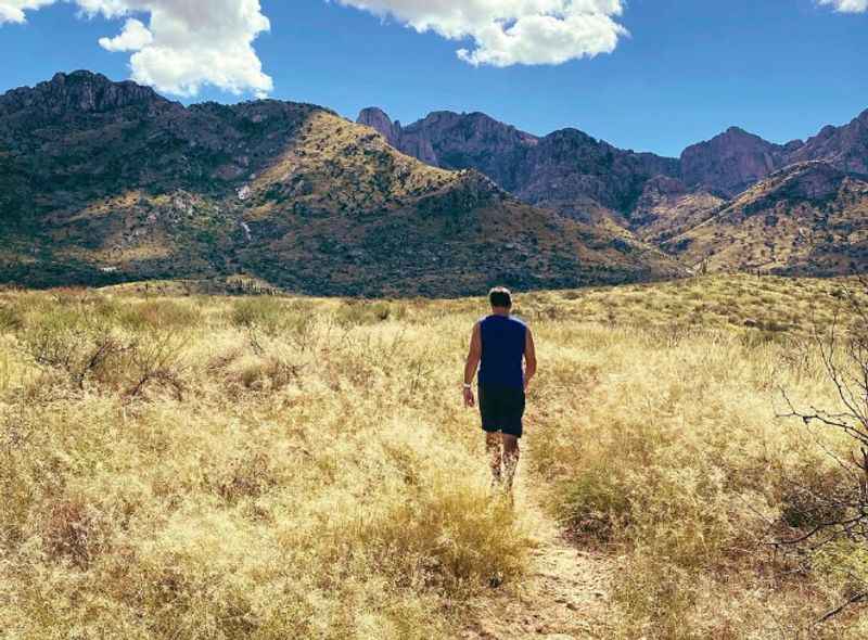 Catalina State Park