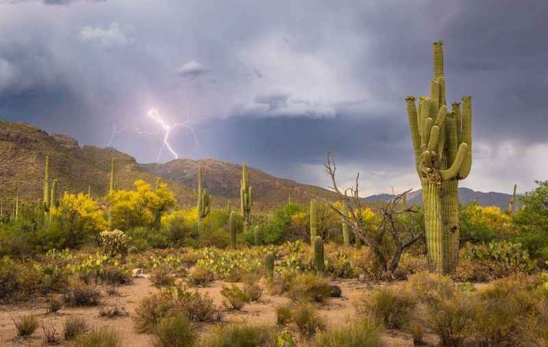 Fun Things to Do in Tucson, Arizona