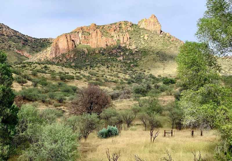 Coronado National Forest