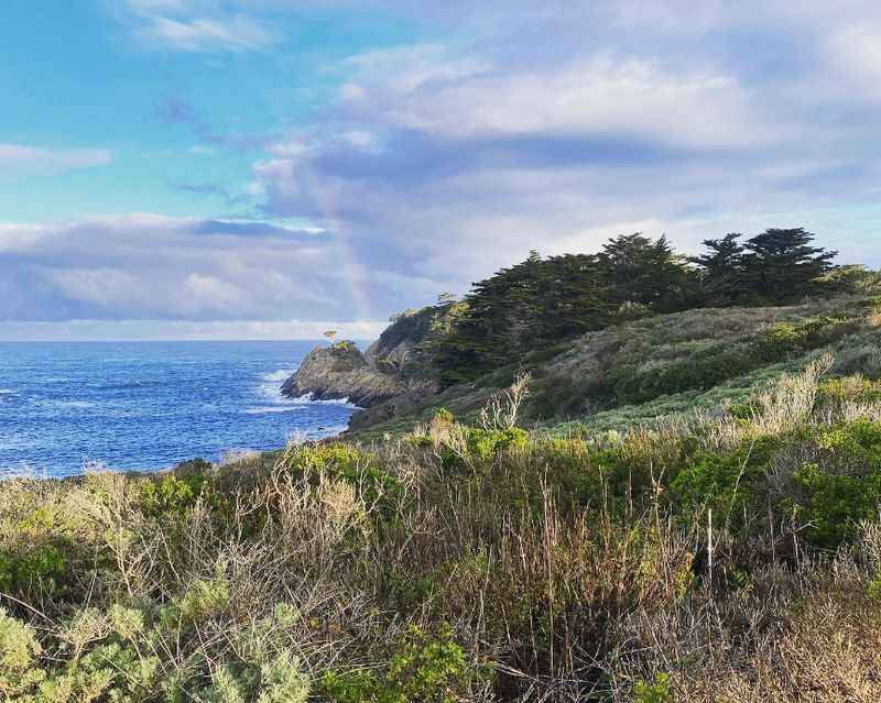 Point Lobos State Natural Reserve