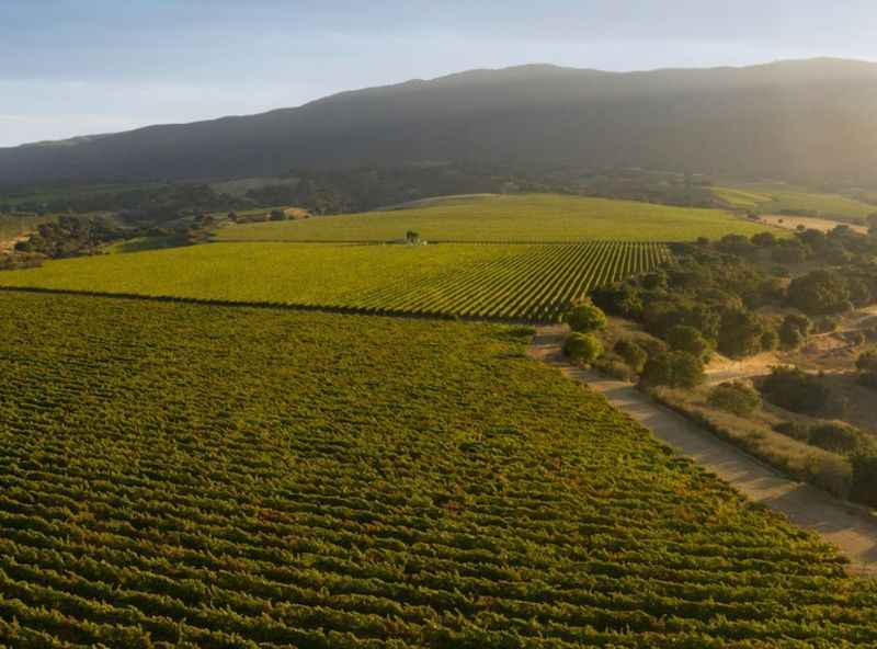 Monterey Wine Country