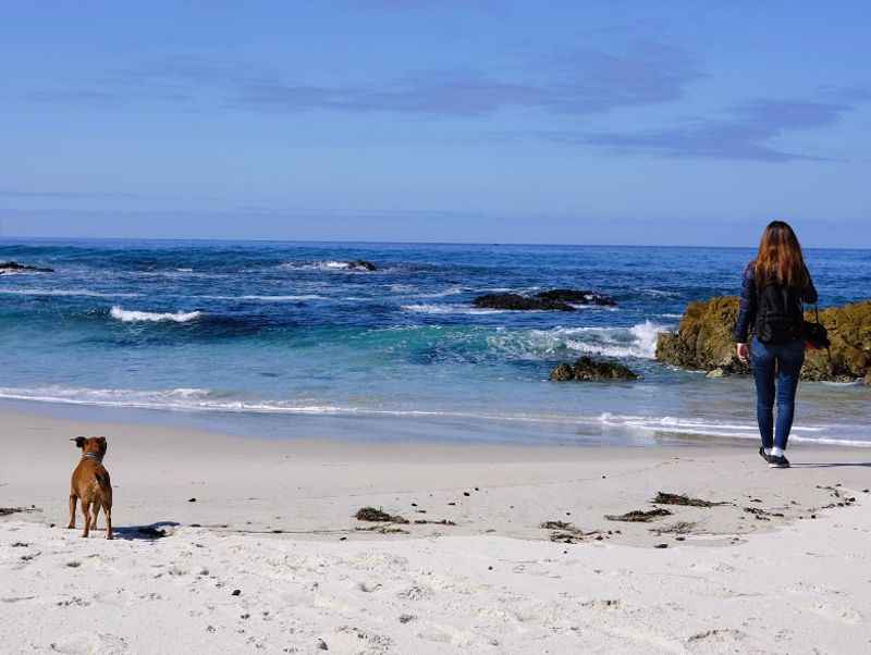 Scenic 17-Mile Drive Through Pebble Beach