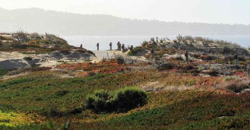 Monterey Bay Coastal Recreation Trail