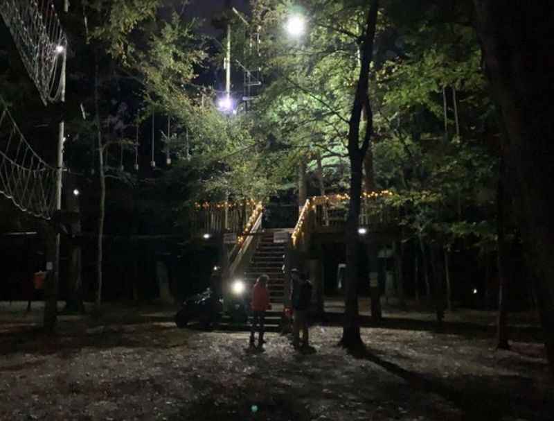 Trinity Forest Adventure Park for an Evening of Treetop Fun