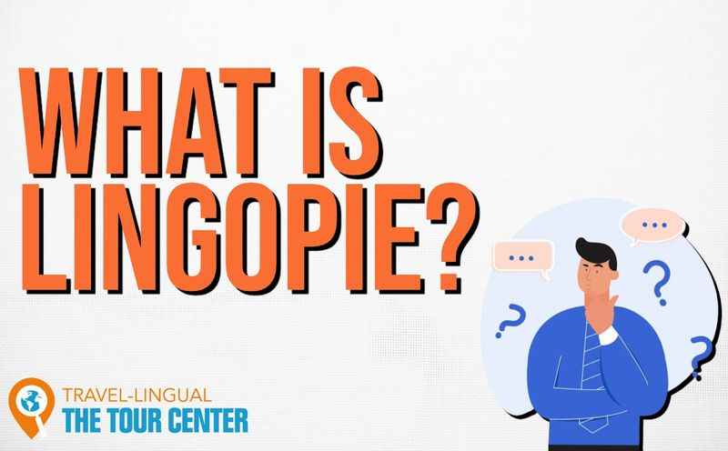 What Is Lingopie?