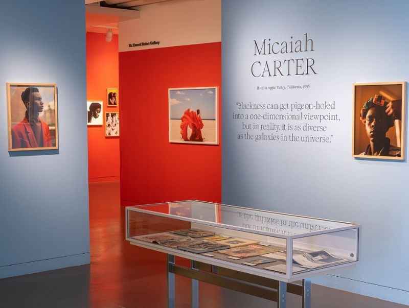 The Museum of the African Diaspora