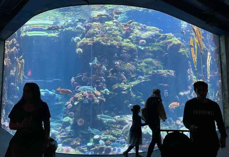 people looking at the fishes in a large aquarium